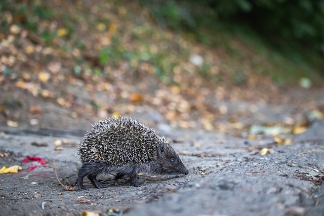 里夫斯：以前我只是双向球员，现在跟詹东相提并论太疯狂了